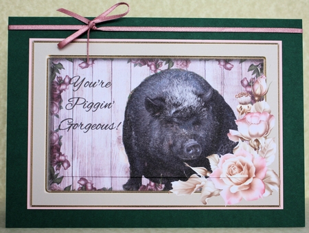 Piggin Gorgeous by Marion Kimberley-Scott