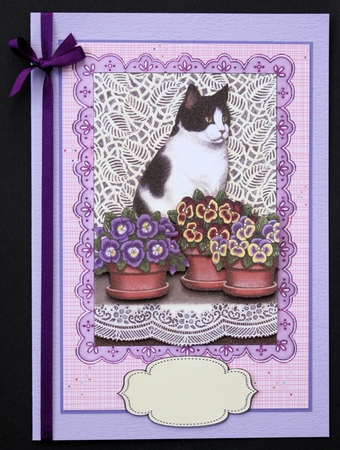 Cat and Pots by Marion Kimberley-Scott