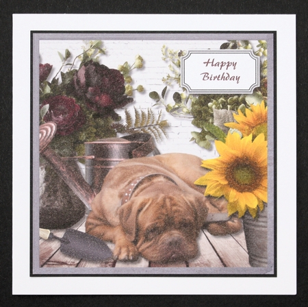 Dog with flowers by Marion Kimberley-Scott