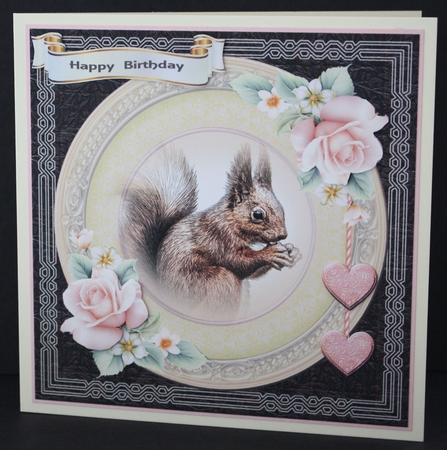 The Squirrel 1 by Marion Kimberley-Scott