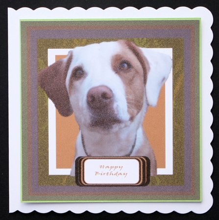 Patch Card Topper by Marion Kimberley-Scott