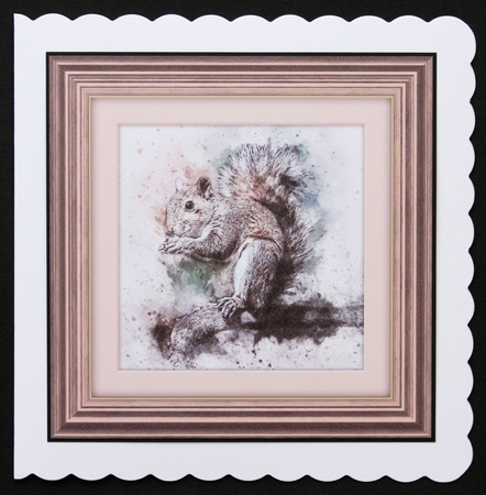 10 Animal 8x8 Cardfronts / Toppers Bumper Pack by Marion Kimberley-Scott