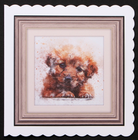 10 Dog 8x8 Cardfronts / Toppers Bumper Pack by Marion Kimberley-Scott