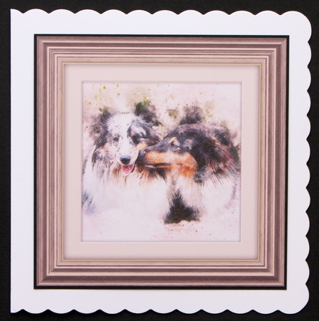 10 Dog 8x8 Cardfronts / Toppers Bumper Pack by Marion Kimberley-Scott
