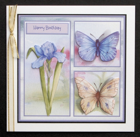 Iris and butterflies by Marion Kimberley-Scott