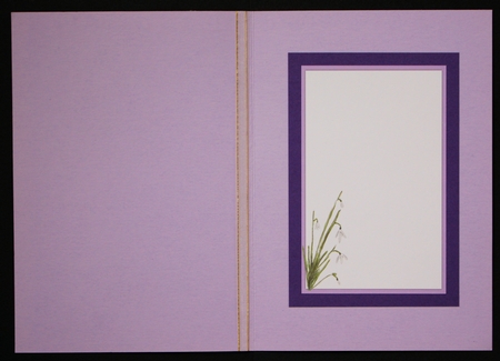 SNOWDROP: Insert & Thinking of You Verse Inserts by Marion Kimberley-Scott