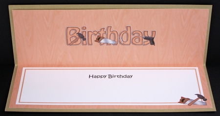 Large DL HAPPY BIRTHDAY insert by Marion Kimberley-Scott