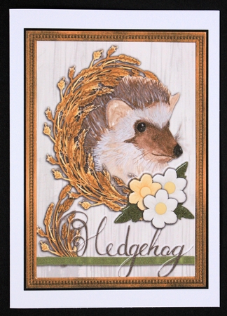 JJ COUNTRY CAPERS 5X7 HEDGEHOG by Marion Kimberley-Scott