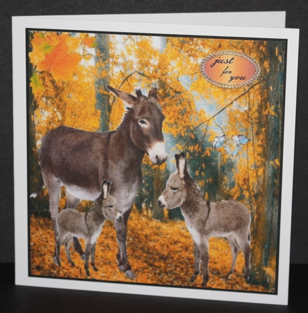 donkeys by Marion Kimberley-Scott