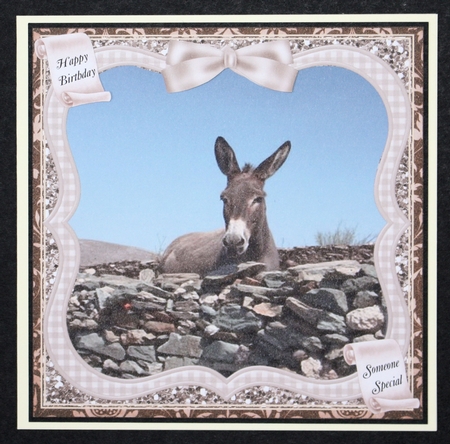 DONKEY MULTI SENTIMENT by Marion Kimberley-Scott