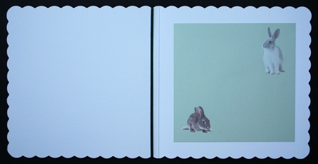 rabbit by Marion Kimberley-Scott