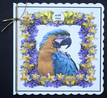 parrot and flowers  by Marion Kimberley-Scott