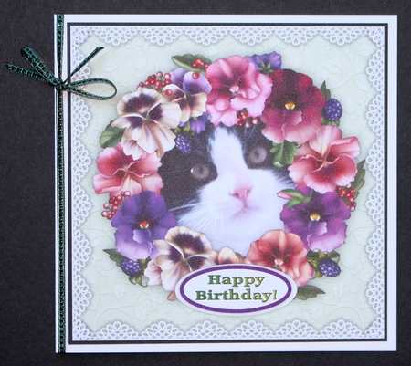 Five 6 x 6 Assorted Black & White Cat Card Toppers With Pansies & Lace by Marion Kimberley-Scott