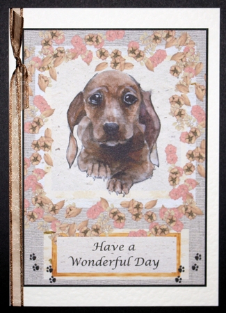 Puppy in flower border by Marion Kimberley-Scott