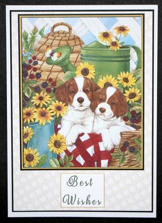 Baskets of Fun Toppers by Marion Kimberley-Scott