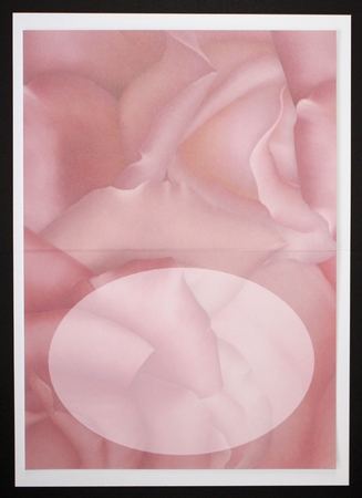 Open Book & Roses Bumper Kit by Marion Kimberley-Scott