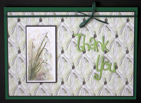 SNOWDROP BACKGROUND: A4 With Commercial Use by Marion Kimberley-Scott