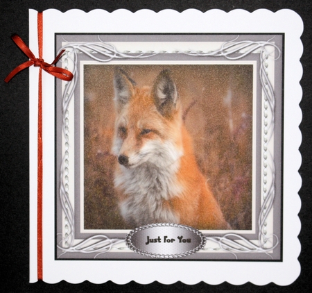 Beautiful Fox  by Marion Kimberley-Scott