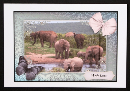 Follow the Elephant Path 2 by Marion Kimberley-Scott