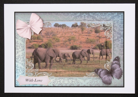 Follow the Elephant Path 4 by Marion Kimberley-Scott