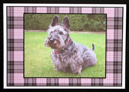 Tartan Backing Paper Kit by Marion Kimberley-Scott