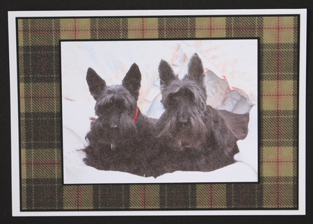 Tartan Backing Paper Kit by Marion Kimberley-Scott