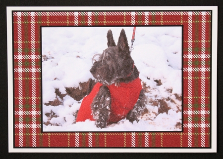 Tartan Backing Paper Kit by Marion Kimberley-Scott