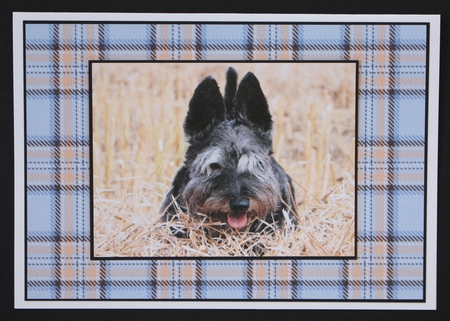 Tartan Backing Paper Kit by Marion Kimberley-Scott