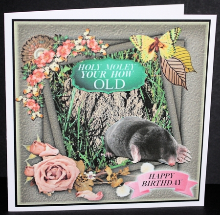 holy moley by Marion Kimberley-Scott