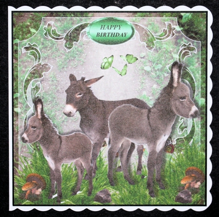donkey family by Marion Kimberley-Scott