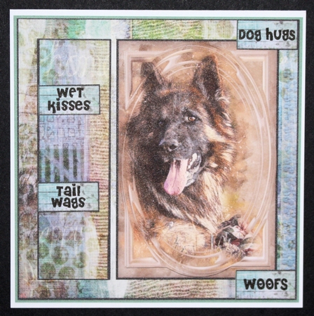 With love and WOOFs, German Shepard by Marion Kimberley-Scott