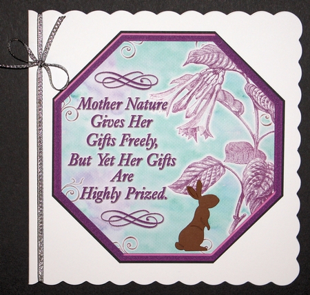 Natures Beauty 2 by Marion Kimberley-Scott