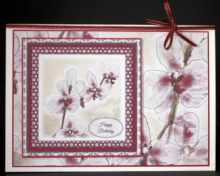 ORCHID BACKGROUND: A4 Orchid Floral Background/Backing Paper, With Commercial Use by Marion Kimberley-Scott