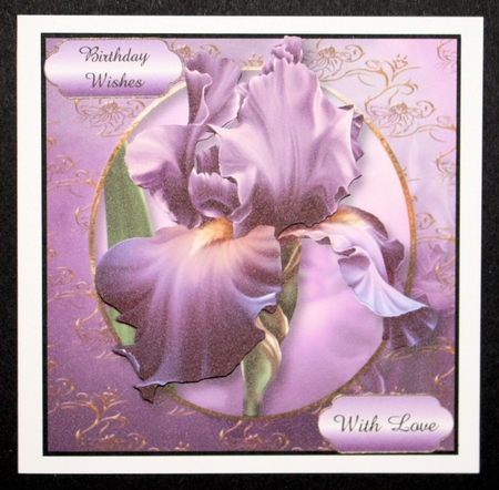 Beautiful Iris Bumper KIt by Marion Kimberley-Scott