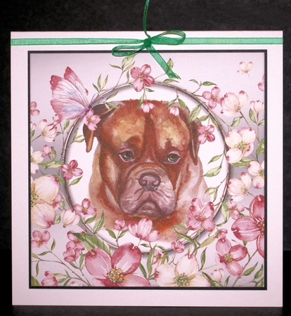 Happy Birthday thank you with love Quick card collection by Marion Kimberley-Scott