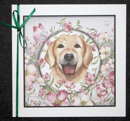 Happy Birthday Quick card collection by Marion Kimberley-Scott
