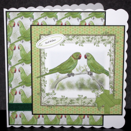 PAIR OF PARAKEETS: 7x7 Card Front For Anniversaries, Birthdays & More, With Decoupage, 8 Sentiment Tags & Commercial Use by Marion Kimberley-Scott