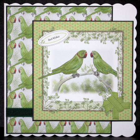 PAIR OF PARAKEETS BACKGROUND: A4 Green Parakeet Bird Patterned Background/Backing Paper, with Commercial Use by Marion Kimberley-Scott