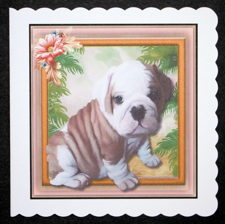 Adorable  Pug Pup by Marion Kimberley-Scott