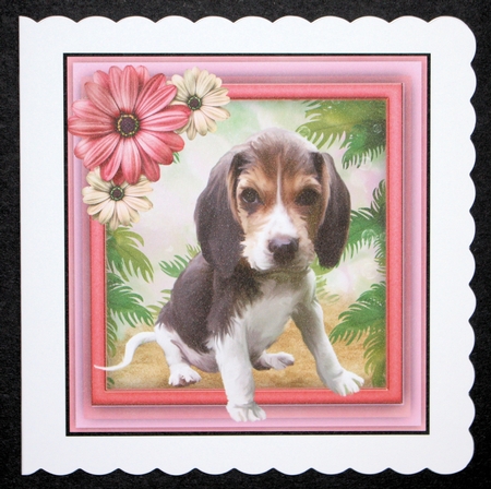 Gorgeous Beagle Pup by Marion Kimberley-Scott
