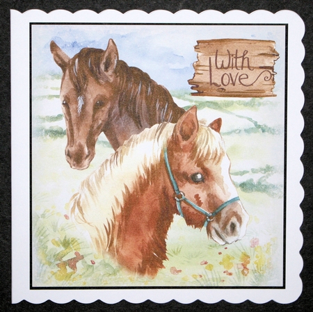 Horse lover by Marion Kimberley-Scott