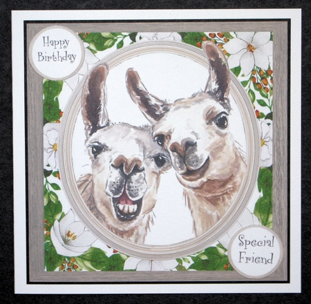 Cute Alpaca Friends 8x8 by Marion Kimberley-Scott