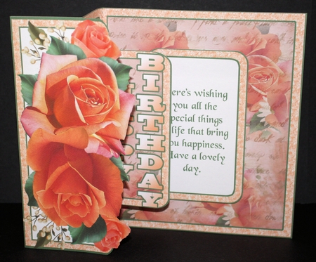 FBP Peach roses by Marion Kimberley-Scott
