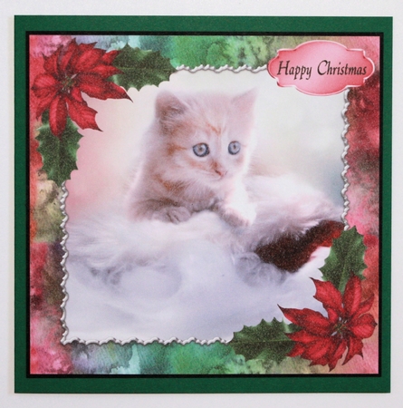 Cute Christmas Cat by Marion Kimberley-Scott