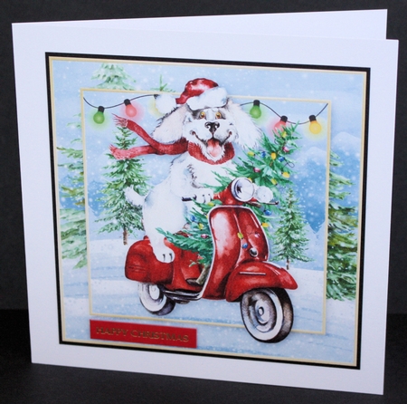 Fetching the Tree Toppers 1 by Marion Kimberley-Scott