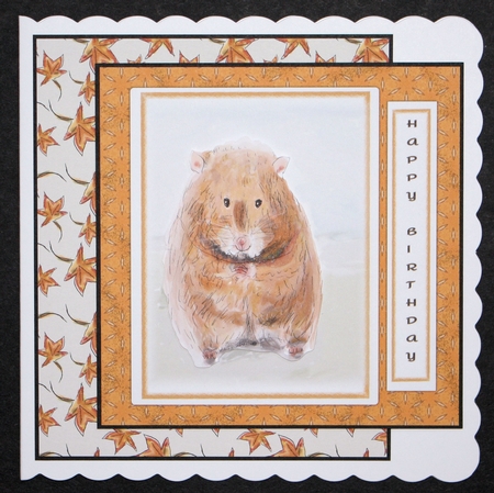 HAMSTER BIRTHDAY CARD: 7x7, With Hamster Decoupage,Extra Blank Sentiment Tag, & Commercial Use by Marion Kimberley-Scott