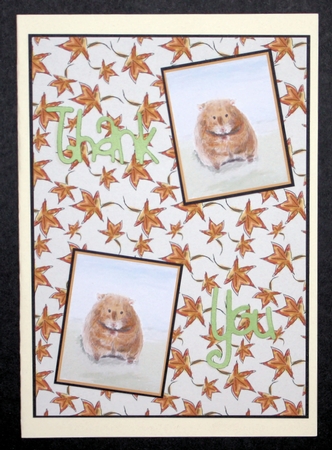 HAMSTER INSERTS: 5x5, One Blank, One with Birthday Verse, Plus Mini Gift Tag & Commercial Use by Marion Kimberley-Scott