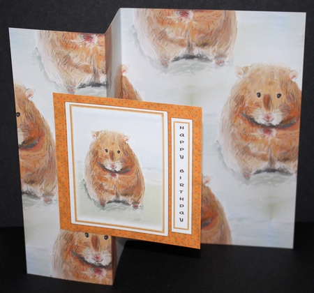 HAMSTER BACKGROUND/BACKING PAPER: A4, With Commercial Use by Marion Kimberley-Scott