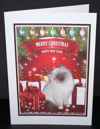 CHRISTMAS KITTEN by Marion Kimberley-Scott