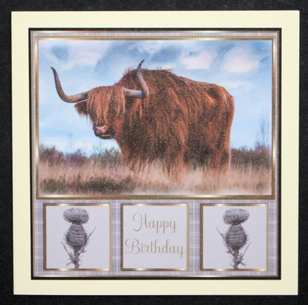 HIGHLAND COW by Marion Kimberley-Scott